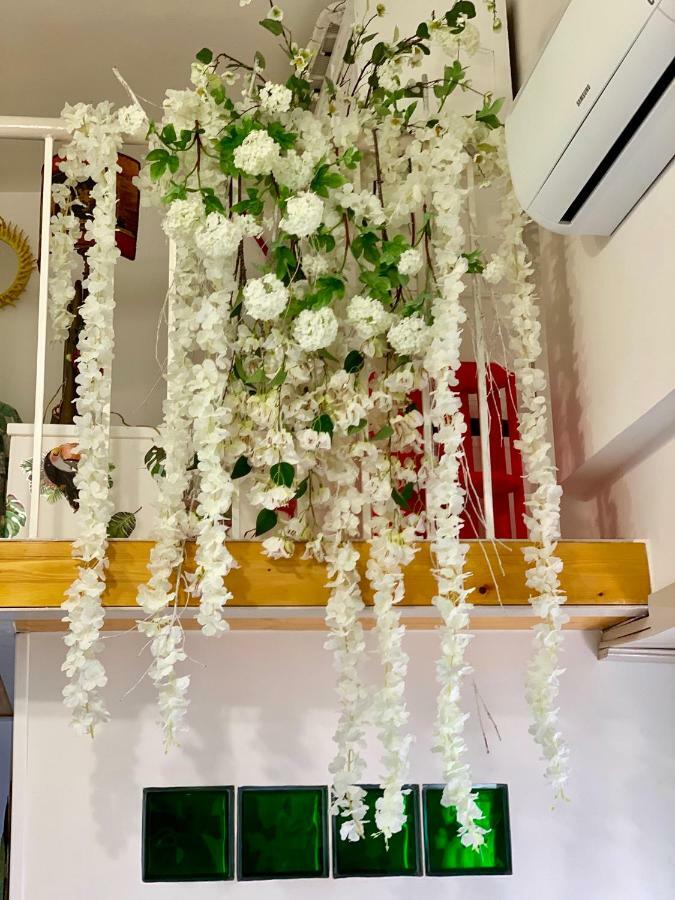 Apartamento La Finestrella Dell'Arte Un Orizzonte Da Guardare Anzio Exterior foto